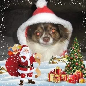 Meet your Posher, Rick